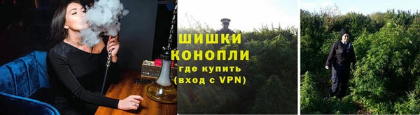 каннабис Баксан