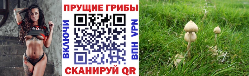 наркота  Выкса  блэк спрут маркетплейс  Галлюциногенные грибы мухоморы 